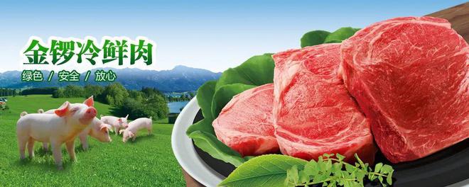 品牌發(fā)布 | 2022年山東省十大品牌