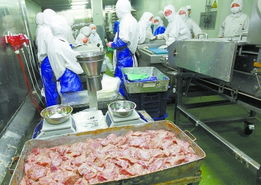 變質(zhì)肉事件發(fā)酵 三元股份稱麥當(dāng)勞2 原料來自福喜