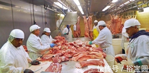 美國(guó)生產(chǎn)的六萬噸豬肉,如果沒有人買,國(guó)人會(huì)幫忙嗎?