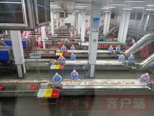 雙匯 一個智能化的雙匯火腿生產(chǎn)車間呼之欲出