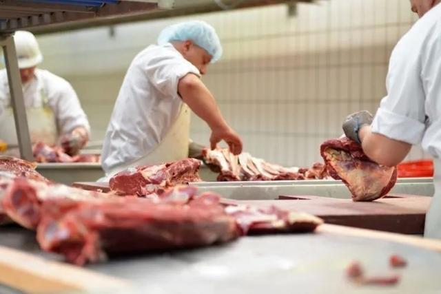 德國(guó)最大肉類加工廠爆發(fā)疫情,你還敢吃進(jìn)口肉制品嗎?|遠(yuǎn)讀重洋