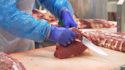 豬肉生產(chǎn)豬肉生產(chǎn)AE模板下載_光廠(VJ師網(wǎng))