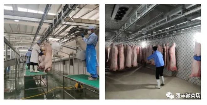 市民足不出“滬”就能吃到來(lái)自云南的楓涇豬肉→