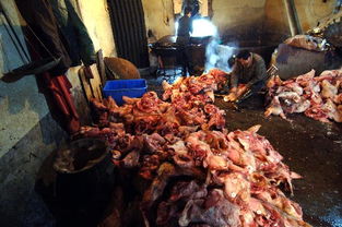 長(zhǎng)沙質(zhì)監(jiān)部門(mén)加強(qiáng)食品安全執(zhí)法檢查