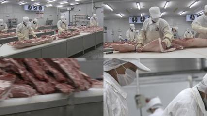 豬肉分割豬肉分割A(yù)E模板下載_光廠(VJ師網(wǎng))